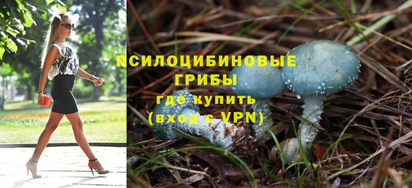 трава Приозерск