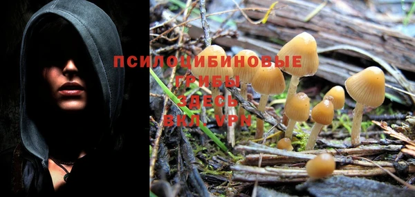 мяу мяу мука Пролетарск